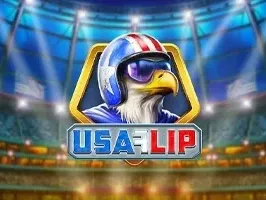 USA Flip game thumbnail